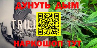 дживик Донской