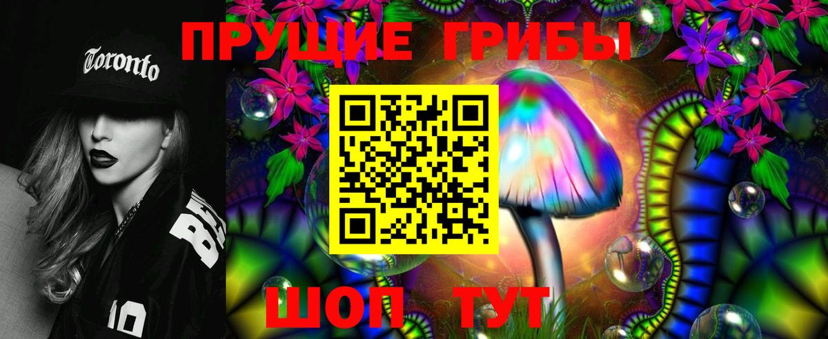 Галлюциногенные грибы GOLDEN TEACHER Красногорск