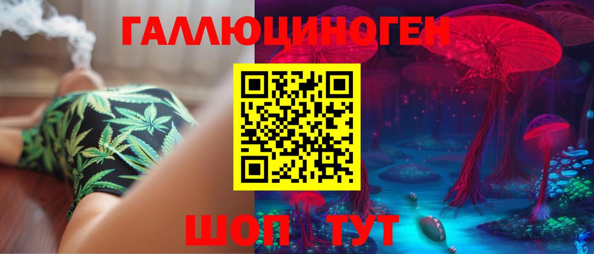 Галлюциногенные грибы Psilocybe  Вход с VPN  Красногорск  Галлюциногенные грибы GOLDEN TEACHER 